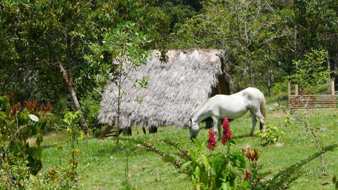 La Perla Negra - Black Pearl Eco Hostel San Rafael  Luaran gambar