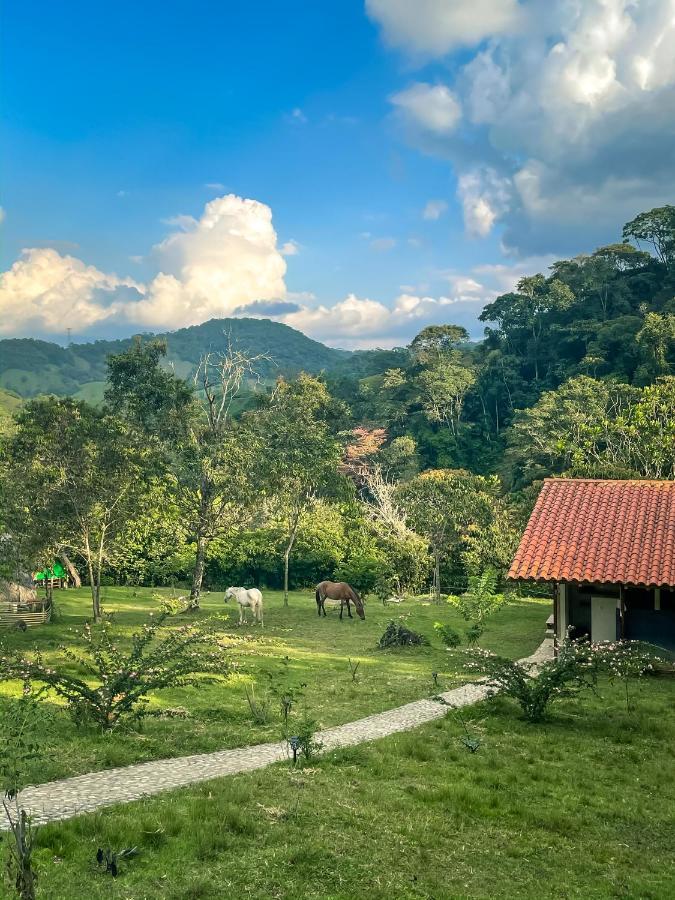 La Perla Negra - Black Pearl Eco Hostel San Rafael  Luaran gambar
