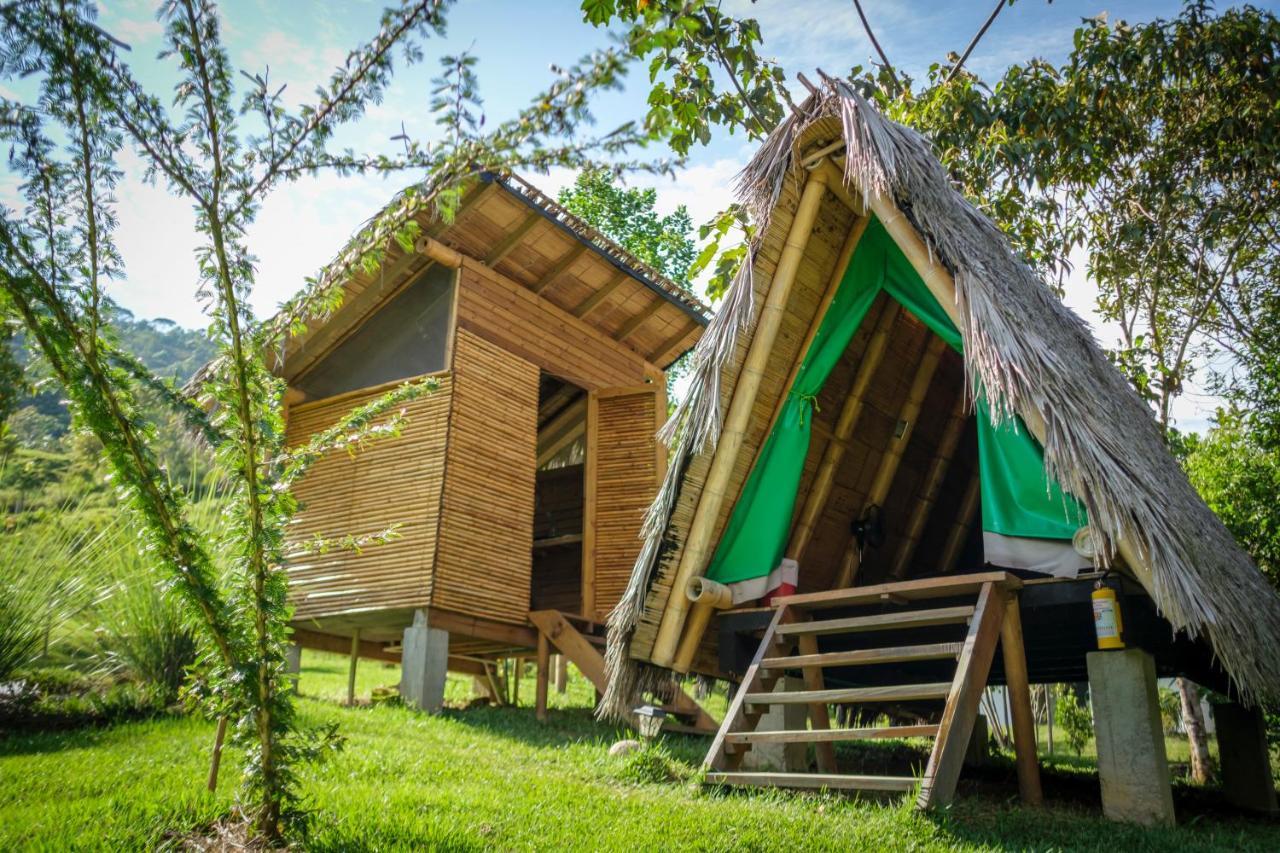 La Perla Negra - Black Pearl Eco Hostel San Rafael  Luaran gambar